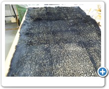 collection 7 Laminature e glitter 0456